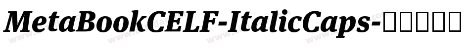 MetaBookCELF-ItalicCaps字体转换