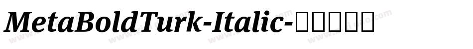 MetaBoldTurk-Italic字体转换