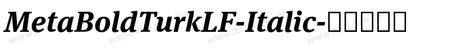 MetaBoldTurkLF-Italic字体转换