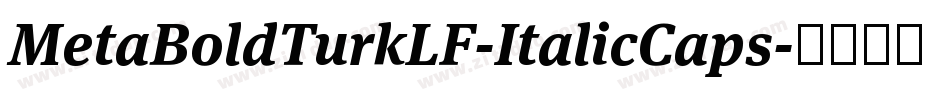 MetaBoldTurkLF-ItalicCaps字体转换