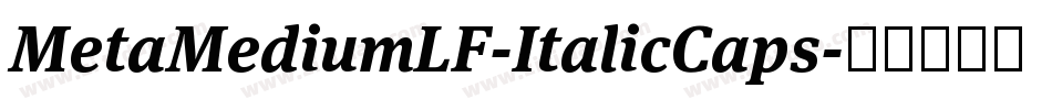 MetaMediumLF-ItalicCaps字体转换