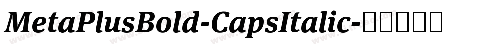 MetaPlusBold-CapsItalic字体转换
