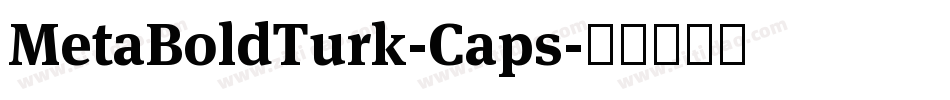 MetaBoldTurk-Caps字体转换