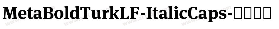 MetaBoldTurkLF-ItalicCaps字体转换