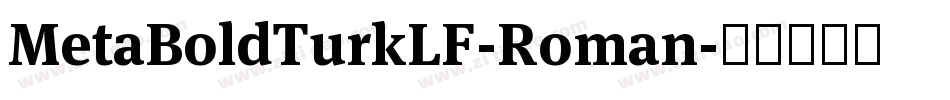 MetaBoldTurkLF-Roman字体转换
