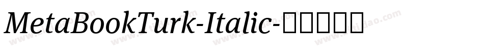 MetaBookTurk-Italic字体转换