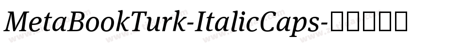 MetaBookTurk-ItalicCaps字体转换