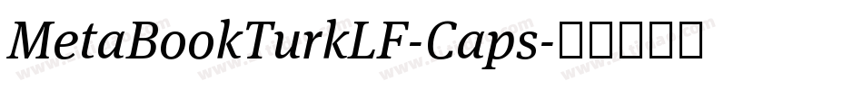 MetaBookTurkLF-Caps字体转换