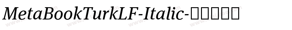 MetaBookTurkLF-Italic字体转换