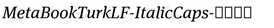 MetaBookTurkLF-ItalicCaps字体转换