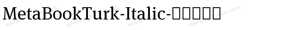MetaBookTurk-Italic字体转换