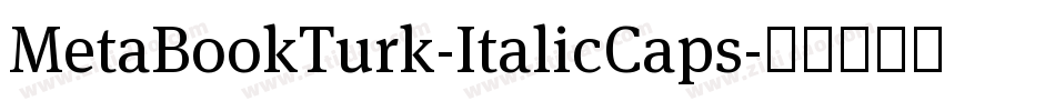 MetaBookTurk-ItalicCaps字体转换