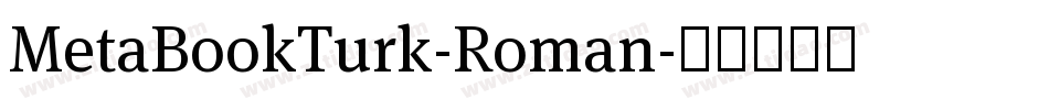 MetaBookTurk-Roman字体转换