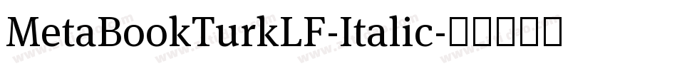 MetaBookTurkLF-Italic字体转换