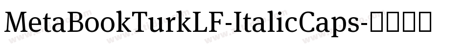 MetaBookTurkLF-ItalicCaps字体转换