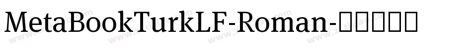 MetaBookTurkLF-Roman字体转换