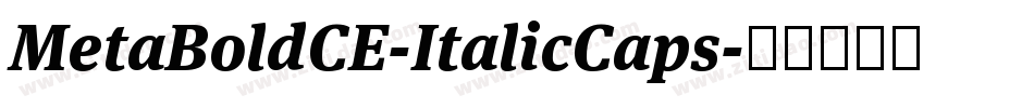 MetaBoldCE-ItalicCaps字体转换