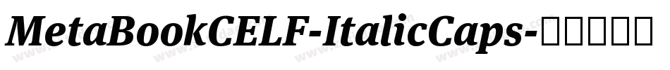 MetaBookCELF-ItalicCaps字体转换