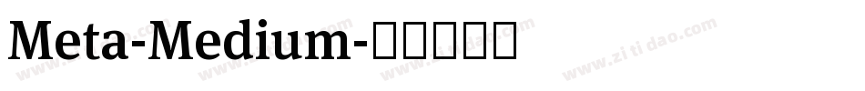 Meta-Medium字体转换