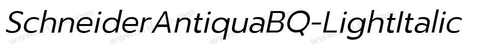 SchneiderAntiquaBQ-LightItalic字体转换