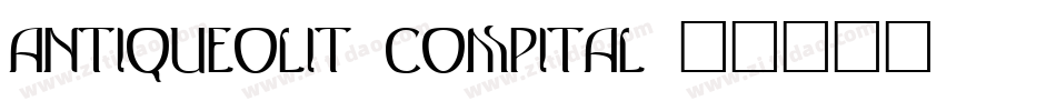 AntiqueOliT-CompItal字体转换