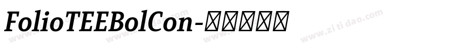 FolioTEEBolCon字体转换