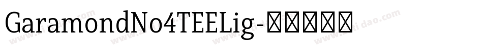 GaramondNo4TEELig字体转换