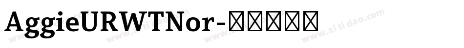 AggieURWTNor字体转换