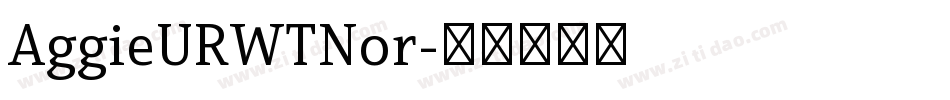 AggieURWTNor字体转换