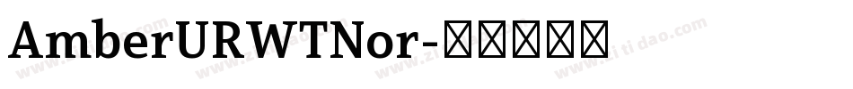 AmberURWTNor字体转换