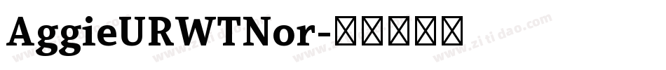 AggieURWTNor字体转换