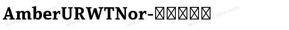 AmberURWTNor字体转换