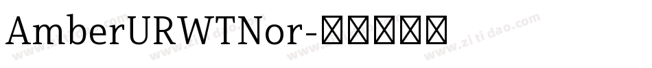 AmberURWTNor字体转换
