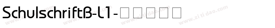 SchulschriftB-L1字体转换