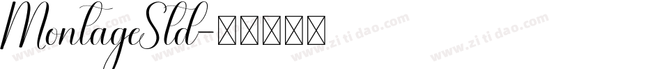 MontageStd字体转换