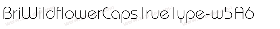 BriWildflowerCapsTrueType-w5A6字体转换