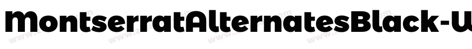 MontserratAlternatesBlack-WjXv字体转换