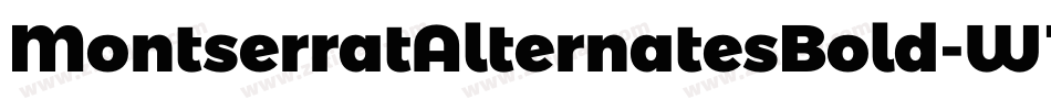 MontserratAlternatesBold-W1qO字体转换