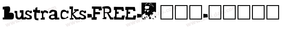 Bustracks-FREE-3转换器字体转换