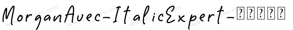 MorganAvec-ItalicExpert字体转换