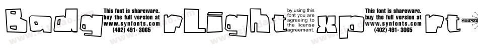 BadgerLightExpert字体转换