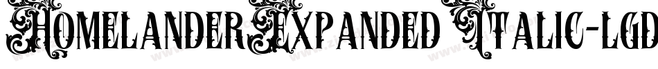 HomelanderExpandedItalic-lgddD字体转换 HomelanderExpandedItalic-lgddD字体转换