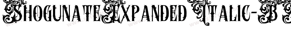 ShogunateExpandedItalic-BWBw5字体转换 ShogunateExpandedItalic-BWBw5字体转换