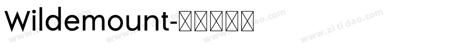 Wildemount字体转换