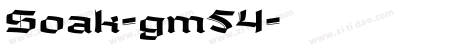 Soak-gm54字体转换