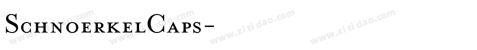 SchnoerkelCaps字体转换