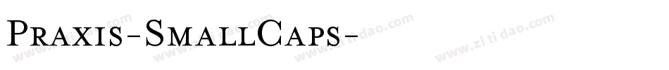 Praxis-SmallCaps字体转换