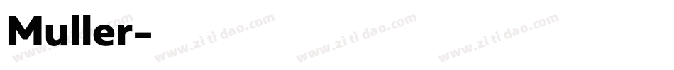 Muller字体转换