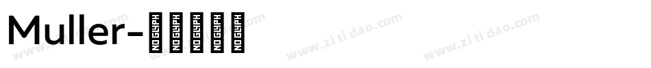Muller字体转换