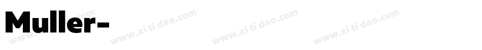 Muller字体转换